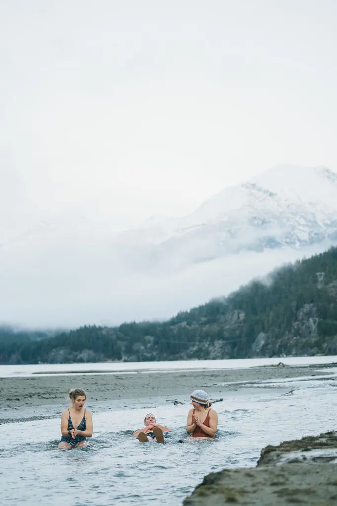 We Dip Whistler
