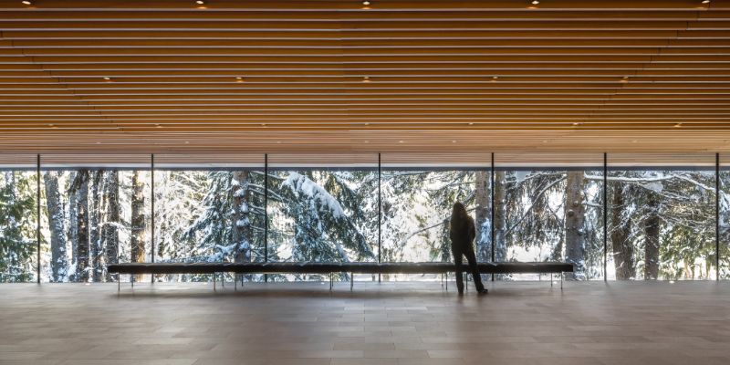 Whistler Traveller (2)