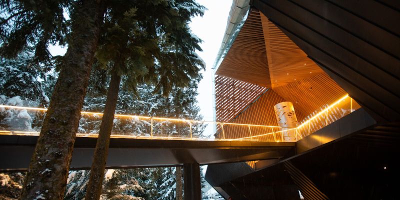 Whistler Traveller (3)