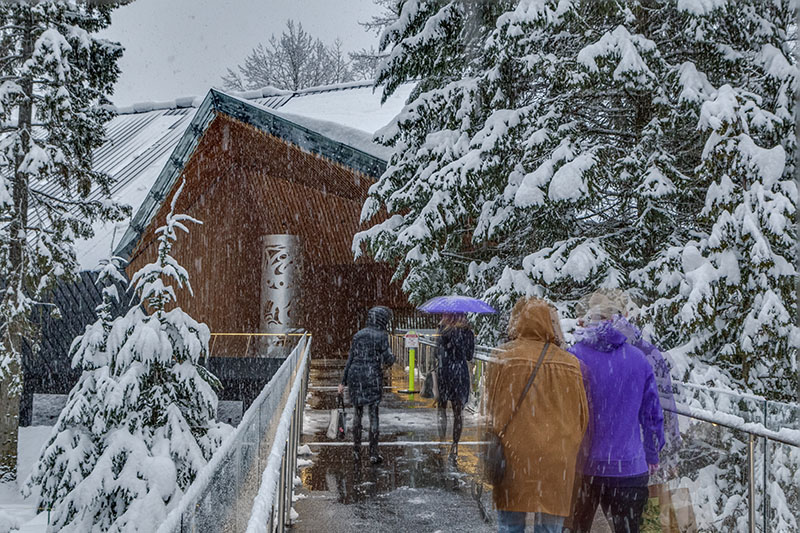 Let's adventure Audain Art Museum