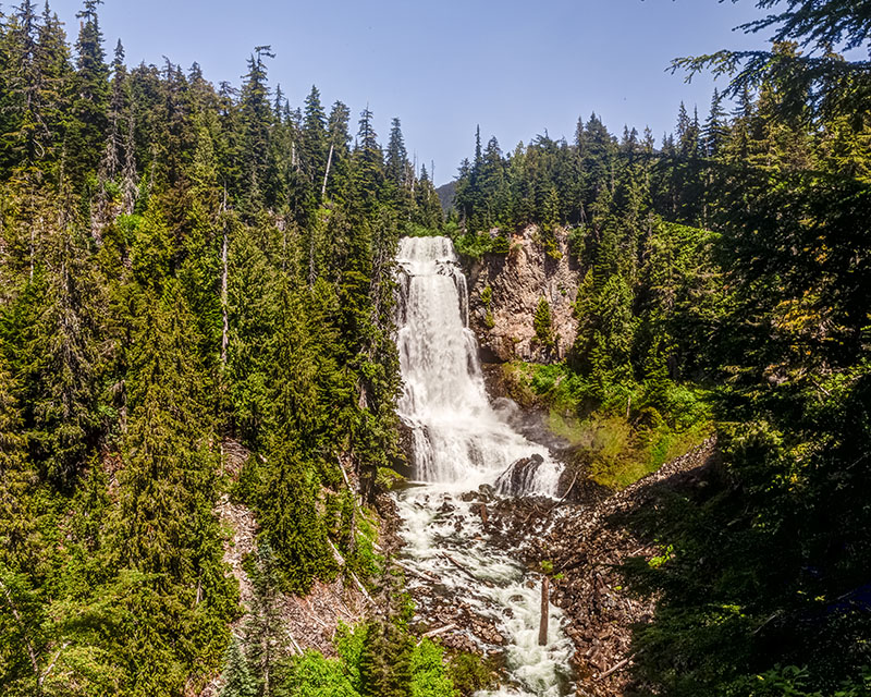whistler bungee jumping