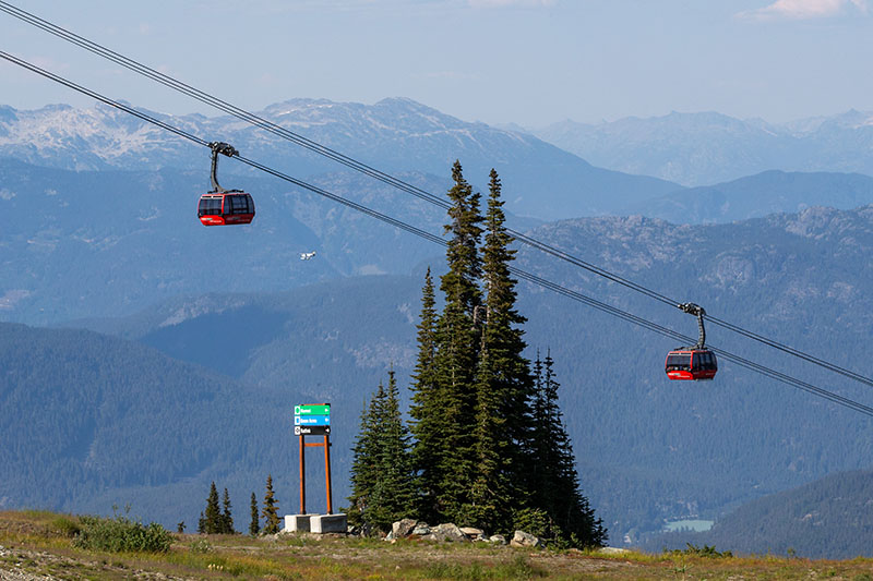 ziptrek sasquatch line