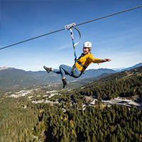 Ziptrek Summer