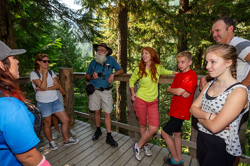 Tree Trek