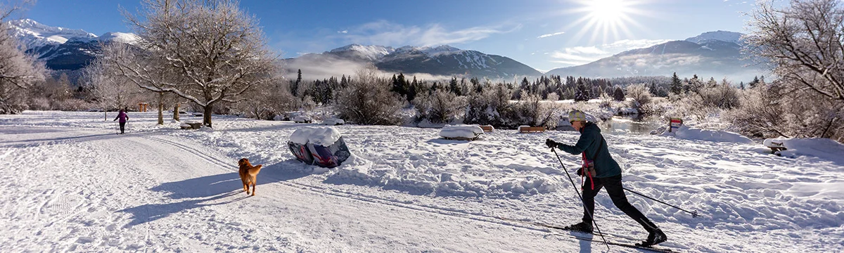 Whistler Winter meadow park